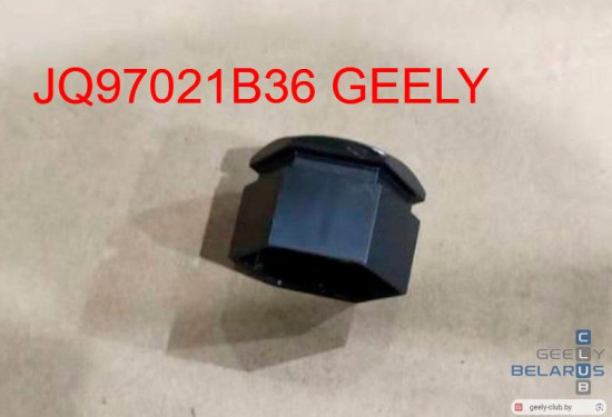 JQ97021B36-cap-nut.jpg